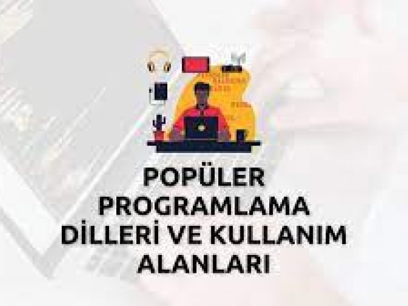 Programlama Dilleri ve Kullanım Alanları 