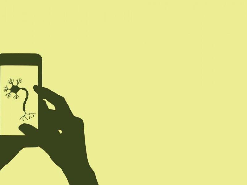 WhatsApp Dosya Paylaşımı İçin 2GB Boyut Sınırını Test Ediyor